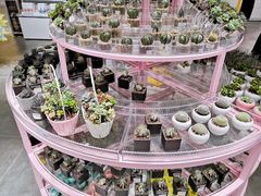 -KKV(深圳宏发大仟里店)