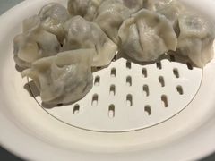 -百饺园(平山道店)