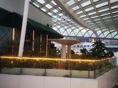 -润园四季椰子鸡火锅(海上世界店)