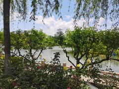 -西湖公园(鼓楼区)
