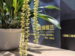 -北京植物园-展览温室