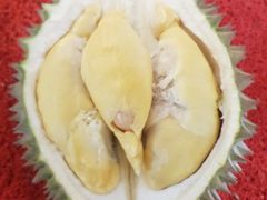 -都念榴莲·城市榴莲