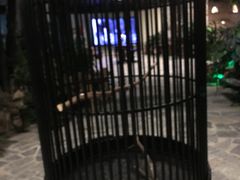 -泉城欧乐堡戏水湾艺术养生温泉