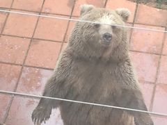 -昆明动物园