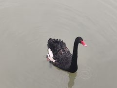 -广州白江湖森林公园