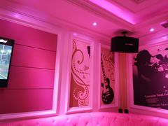 -金青果甄选KTV(劳动公园店)