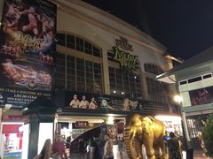 -彩虹云霄拜约克摩天塔