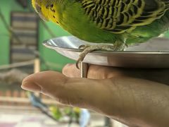 -上海大自然野生昆虫馆