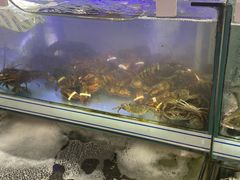 -大润发(何山店)