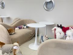 -怪兽屋·羊驼·猫咖·狗咖(俊华广场店)