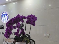 -茂菊口腔连锁(浦东南路店)