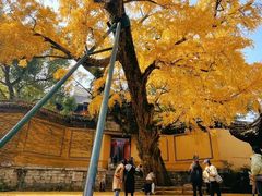 -无锡惠山寺