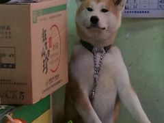 -大连熟食品交易中心