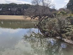 -上海方塔园