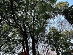 -乌镇景区
