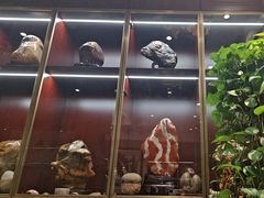 -燕春楼(海河华鼎店)