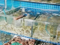 水产区-蟹谢蒸鲜自助餐厅