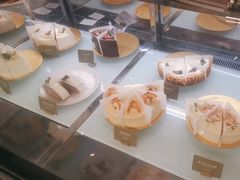 -gaga(深圳福田星河COCO Park店)