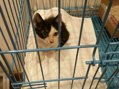 -猫的天空之城概念书店(杭州南宋御街店)