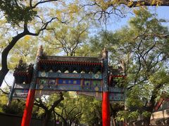 -北京国子监胡同