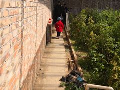 -万源龙顺度假庄园生态观光园