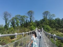 -东莞植物园