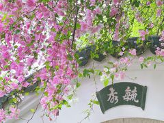 -深圳国际园林花卉博览园