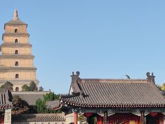 -大慈恩寺(大雁塔)