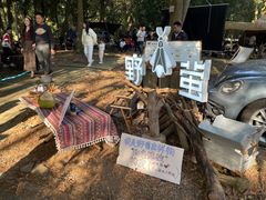 -南宁良凤江国家森林公园