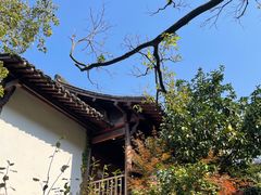 -中国茶叶博物馆(双峰馆区)