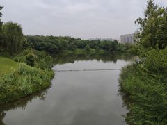 -眉山湿地公园(东坡区)