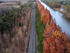 -上海海湾国家森林公园