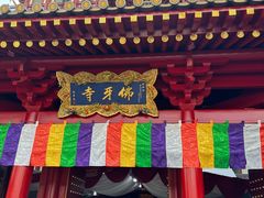 -新加坡佛牙寺龙华院
