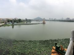 -龙虎塔