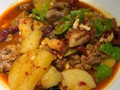 -九毛九西北菜(大东海店)