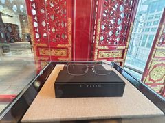 -大视光学•LINDBERG林德伯格•全球手工眼镜集合店(王府井店)