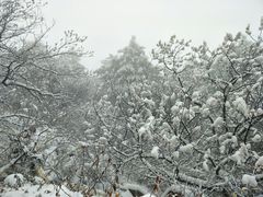 -云峰山自然风景区