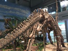 -自贡恐龙博物馆