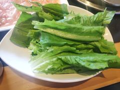 油麦菜-董家湾重庆老火锅(嘉华店)