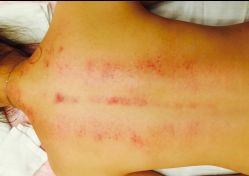 -佐登妮丝美容SPA生活馆