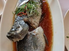 -骏莱海鲜鱼港(五角场店)
