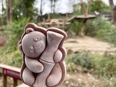 -成都大熊猫繁育研究基地