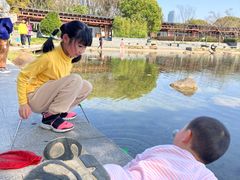 -蠡湖大桥公园