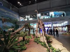 -自贡恐龙博物馆