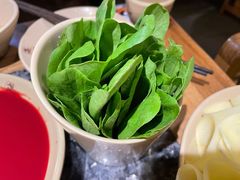 鸡毛菜-蜀大侠火锅(四川北路店)