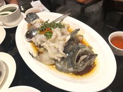 龙趸-闽和南(深圳万象城店)