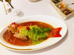 东星斑清蒸-金轩中餐厅 Jin Xuan(浦东丽思卡尔顿酒店)