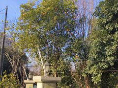 -嘉兴华美达酒店(秦逸路店)