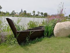 -荷兰花海