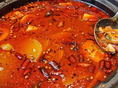 -福照楼汽锅鸡·云南菜(护国路店)